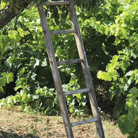 招待所 Le Carre Des Vignes 锡富尔勒普拉日